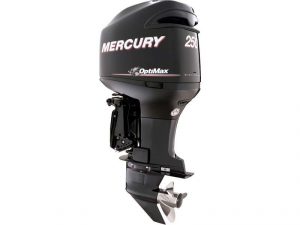 Optimax Outboard