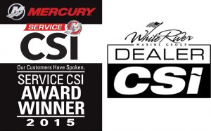Service CSI Award Winner 2015